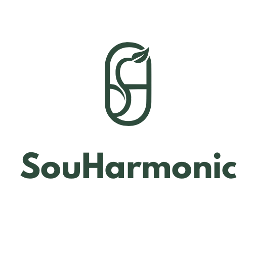 Logo SouHarmonic